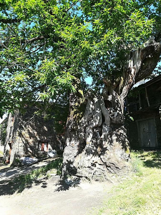 Отель Casa Simon Триакастела Экстерьер фото